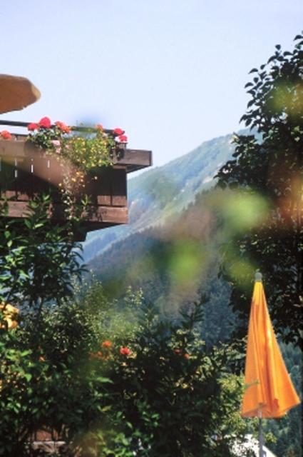Hotel Adler Garni Hirschegg  Zewnętrze zdjęcie